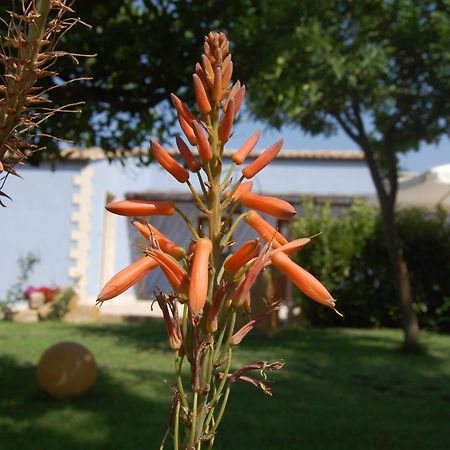 Terre Iblee Resort Chiaramonte Gulfi Buitenkant foto