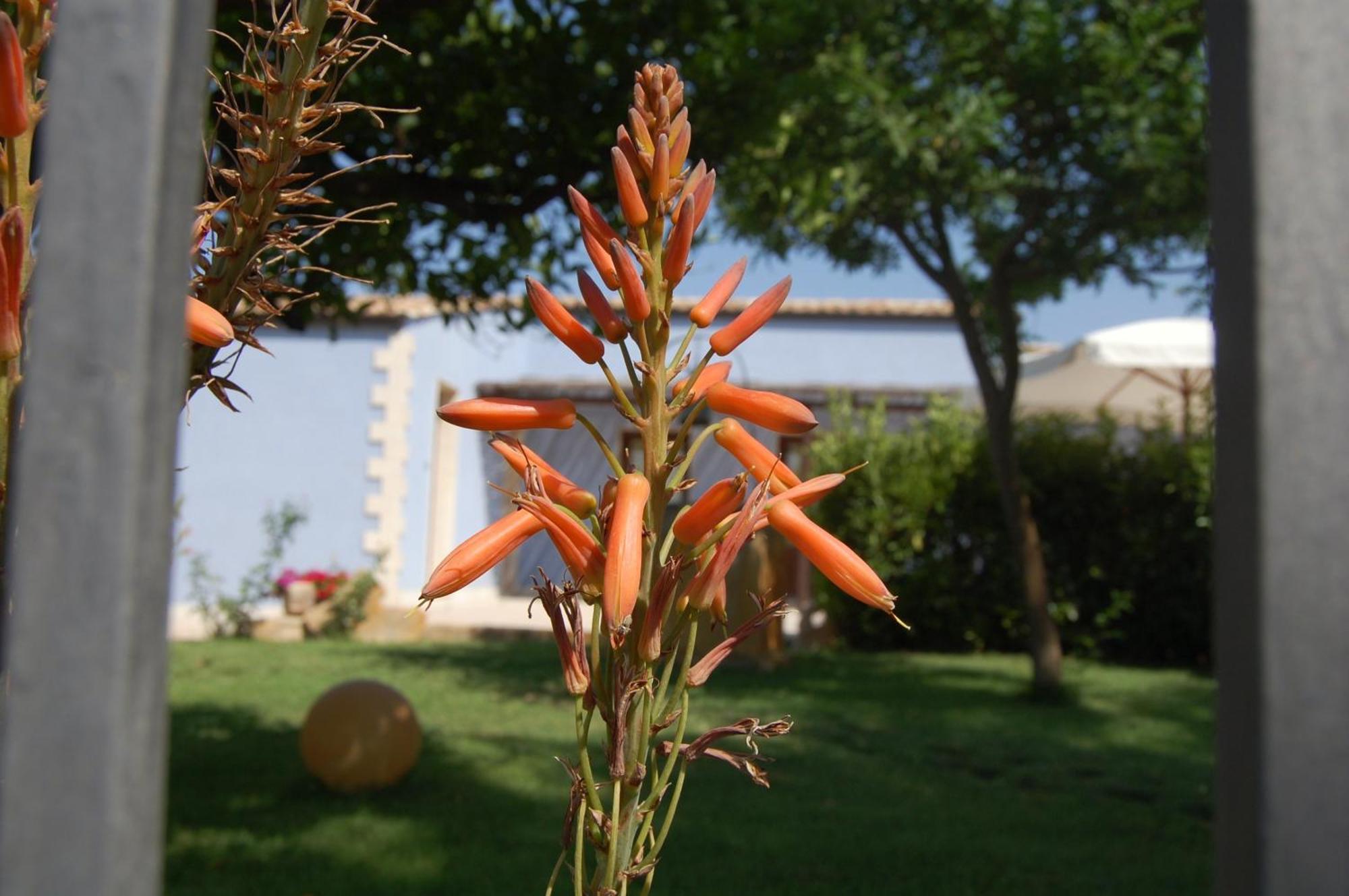 Terre Iblee Resort Chiaramonte Gulfi Buitenkant foto